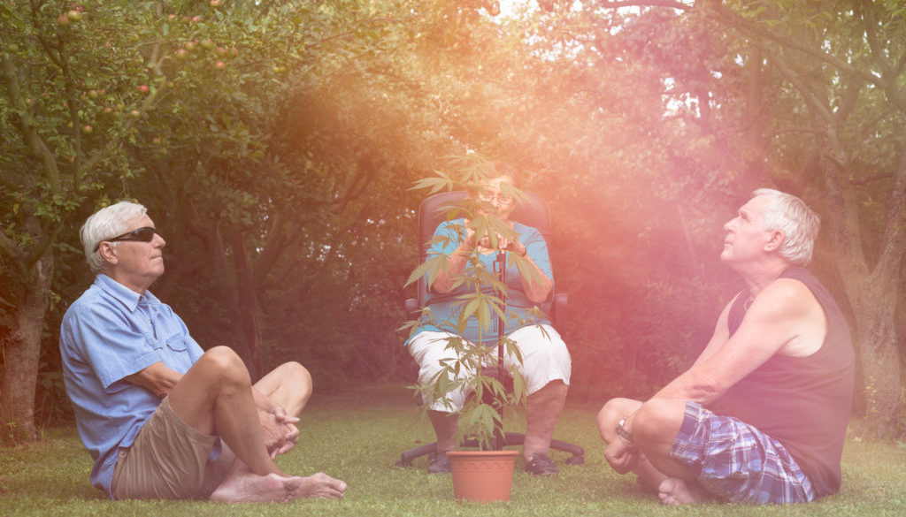 Seniors relaxing with Cannabis plant outdoors
