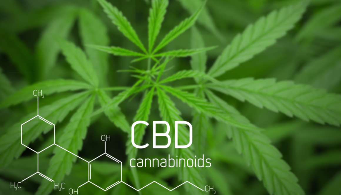 cbd cannabinoids