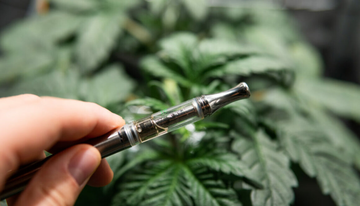CBD vape oils . simple electronic device. Weed Vape Pens for THC Oil . cannabis concentrates or CBD vape juice.